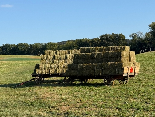 Hay wagons