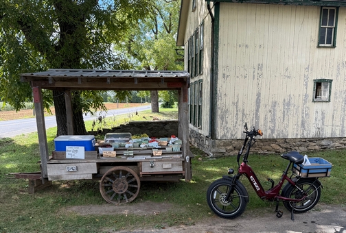 Amish roadside produce wagon
