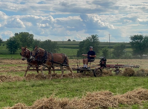 Raking hay on the Old Windmill Farm