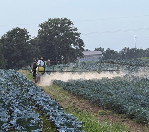 Spraying