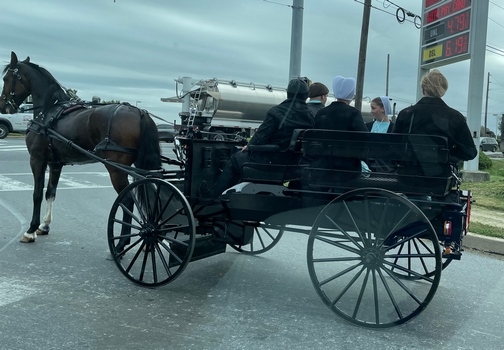 Amish youth on spring wagon