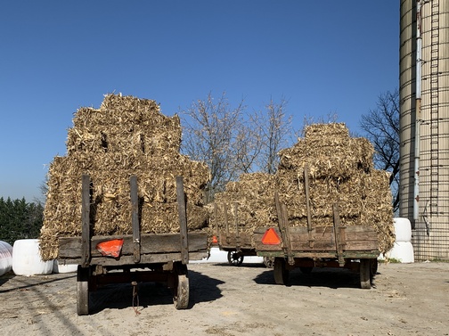 Hay wagons on Strasburg Pike