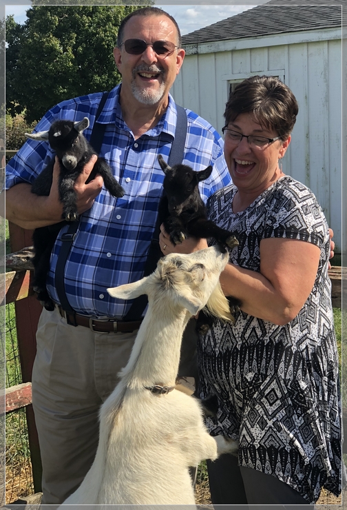 Goats, Old Windmill Farm 9/16/18