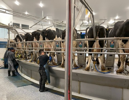 Milking parlor