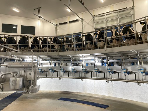 Milking parlor