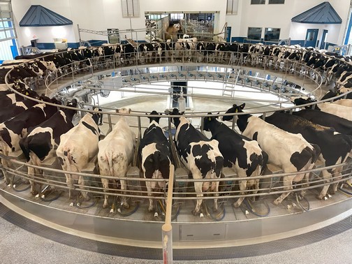 Milking parlor