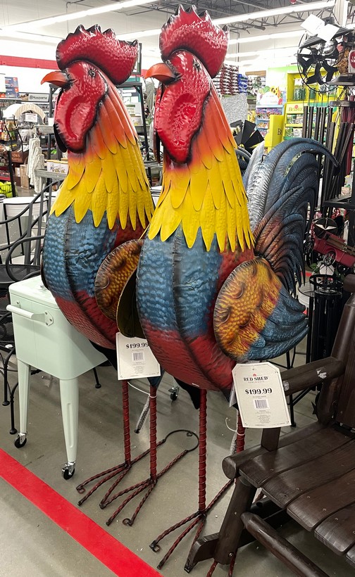 Tractor Supple roosters