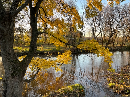 Chiquies Creek