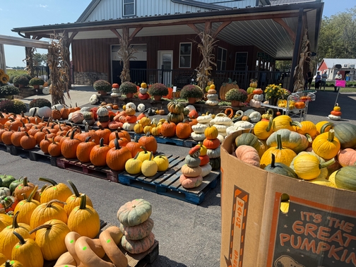 Country View greenhouse