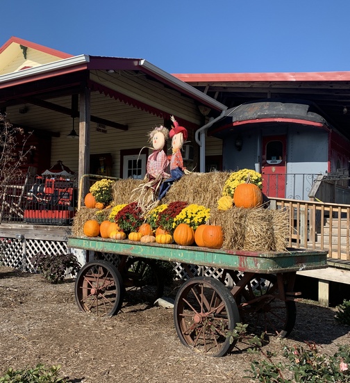 Fall wagon at Red Caboose 11/3/19