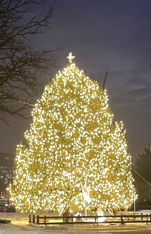 Bethlehem, PA Christmas Tree