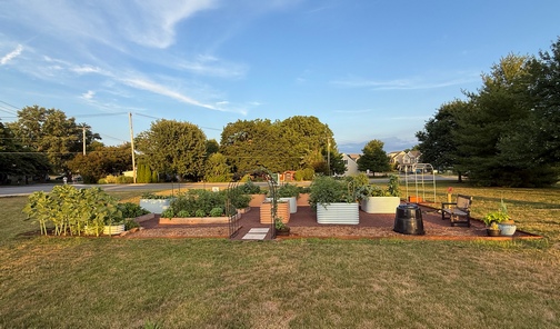 MJMC community garden