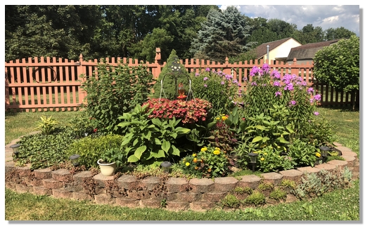 Backyard flowers 7/18/18