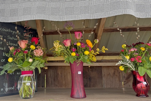 Cut flowers