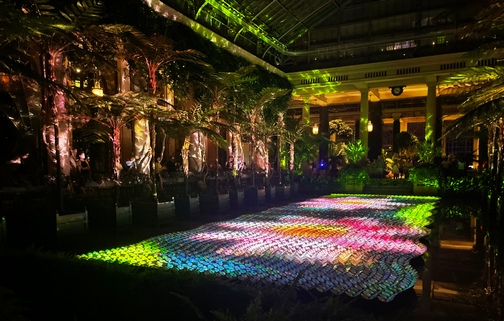 Longwood Gardens lights