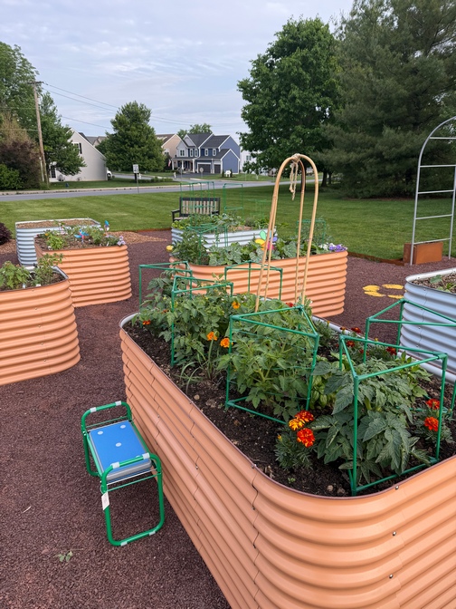 Community garden