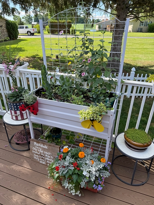 Raised planter