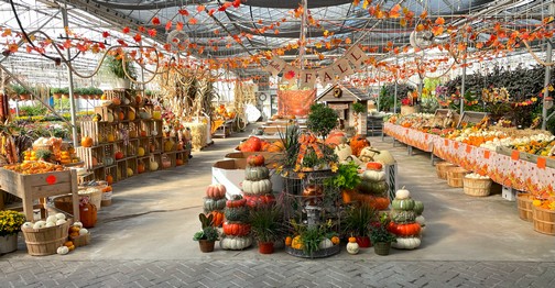 Reiff's Greenhouse, Mifflinburg, PA 9/20/23