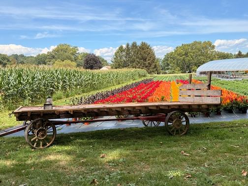Silver Springs Greenhouse wagon