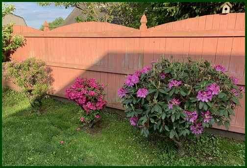 Three cousins Three cousins