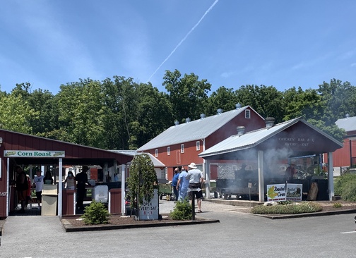 Amish chicken bbq