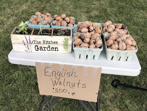 English walnuts
