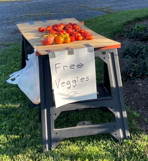 Free veggies