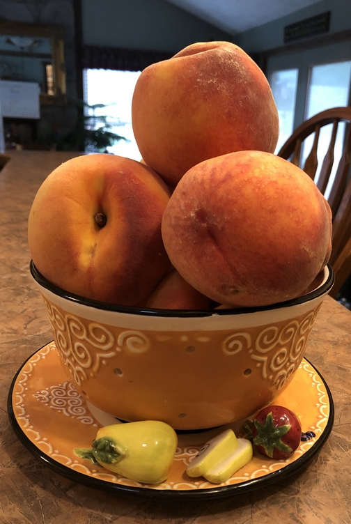 Seyfert's peaches, Lebanon County, PA 8/12/19