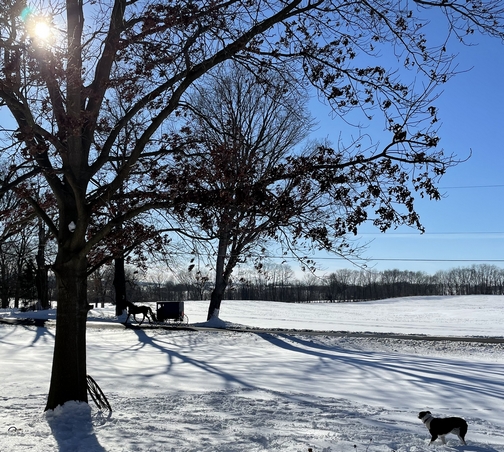 Front lawn in snow