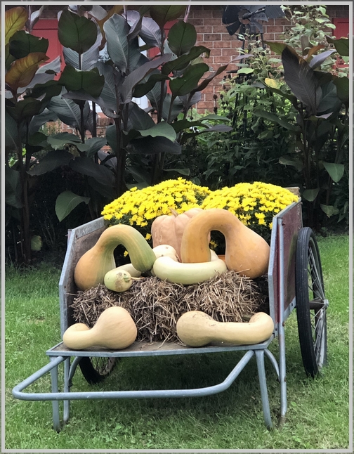 Home autumn garden cart 9/24/18