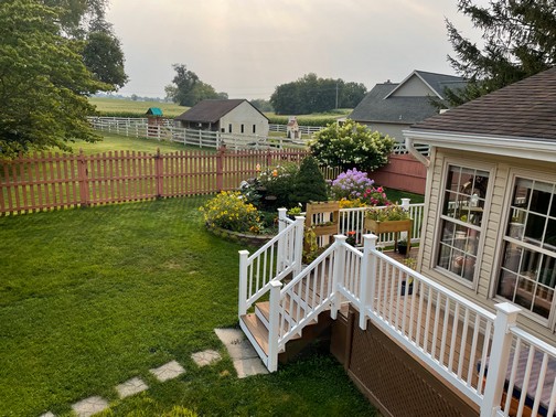 Backyard view from bedroom