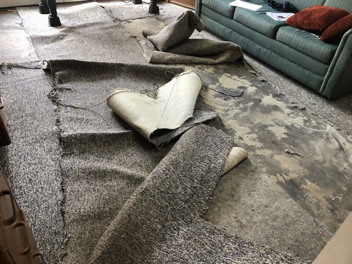 Office carpet removal 6/25/19