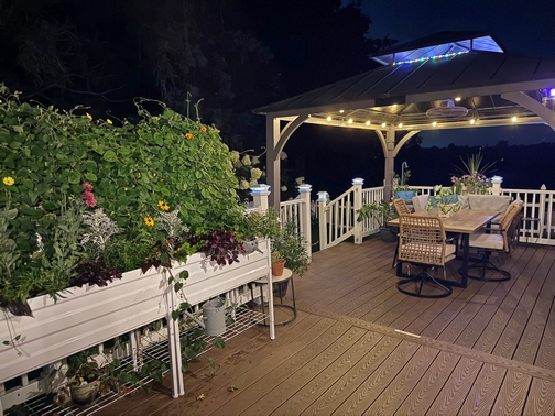 Our deck at night