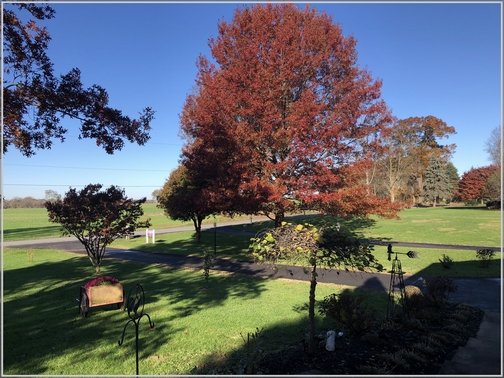 Home view 11/7/18 (Click to enlarge)