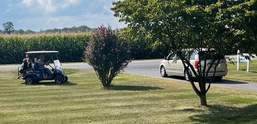 Golf Cart ride Golf Cart ride