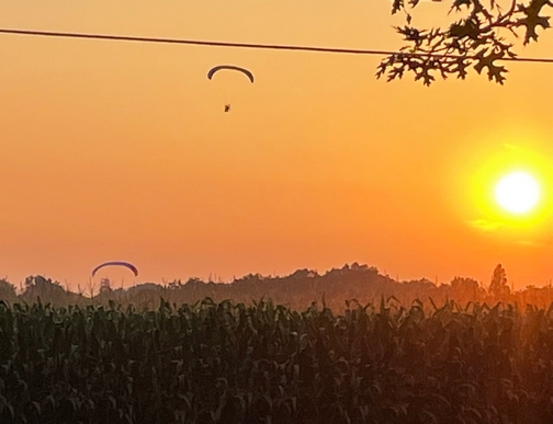 Paragliders over corn field at sunset
