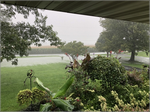 Rain and flooded front lawn 8/31/18 (Click to enlarge)