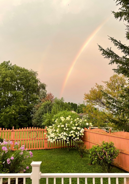 Rainbow over back yard