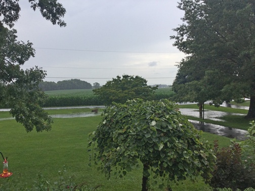 Rainy front view 7/11/19