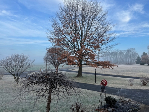 view_from_porch_small_2022-03-10.jpg