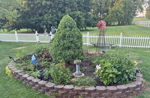 Weber backyard