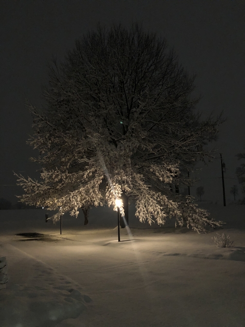 Winter view at night 3/4/19 (Click to enlarge)