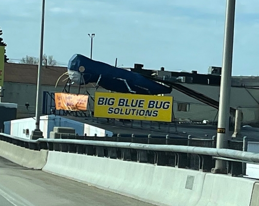 Big Blue Bug