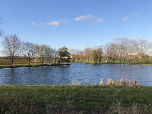 Lancaster County pond and farm scene (Click to enlarge)