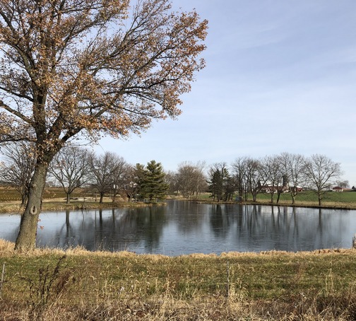 Pond along 283 between Lancaster and Mount Joy