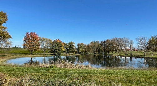 Pond along RT 283, Lancaster County, PA