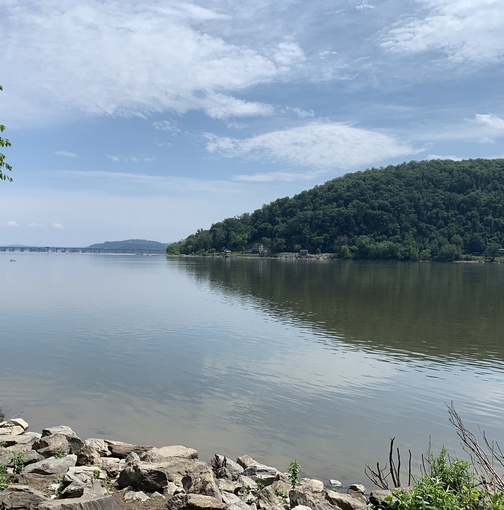 Susquehanna River, Lancaster County PA 6/3/20 (Click to enlarge)