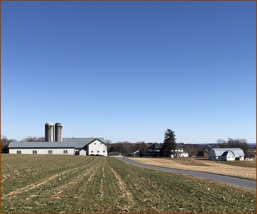 Amish farm near Lititz PA 2/9/19 (Click to enlarge)