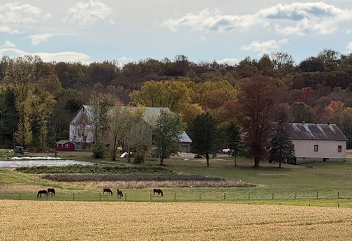 Lancaster County Amish farm with horses