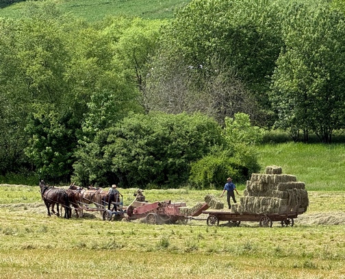 Hay harvest in Lancaster County